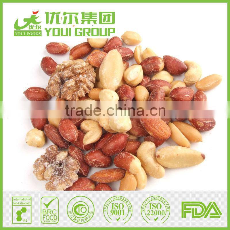 Mixed Snacks of Roasted Beans and Dry Fruits