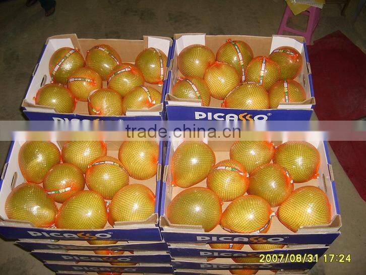 Chinese Fresh Honey Pomelo from Factory