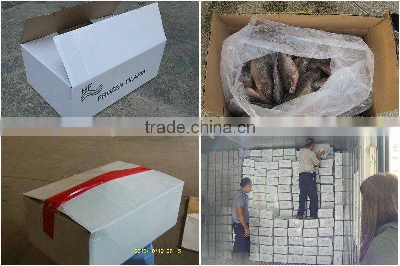 Frozen fish processing companies