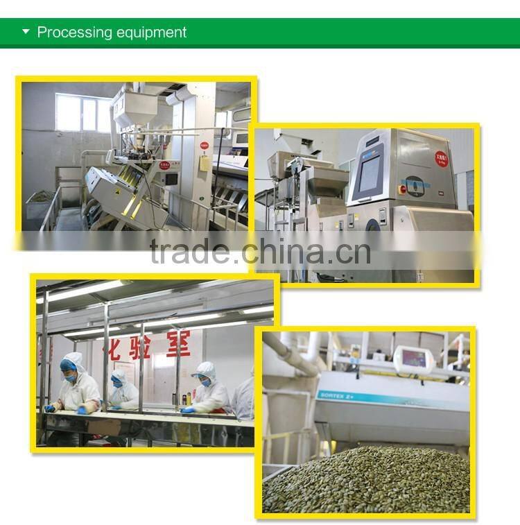 Wholesale Chinese organic pumpkin seeds without shell grade AAA