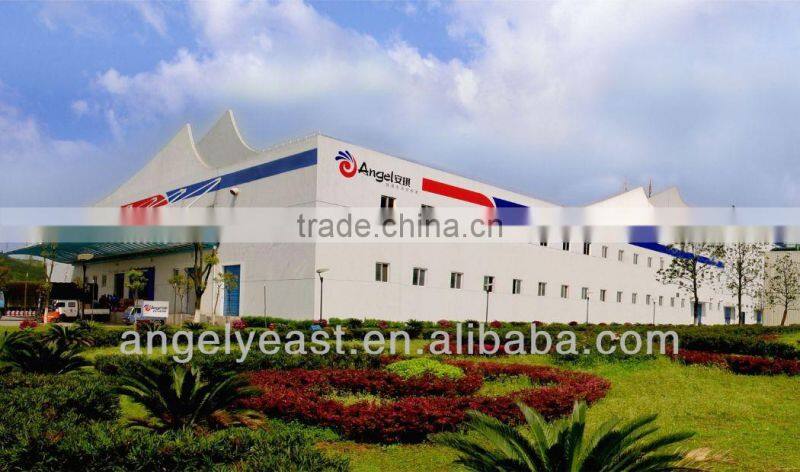 halal chicken bouillon powder 100g, 200g, 450g, 500g, 1kg, 10kg, 20kg