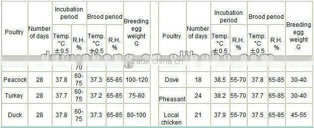 5280pcs solar eggs incubator