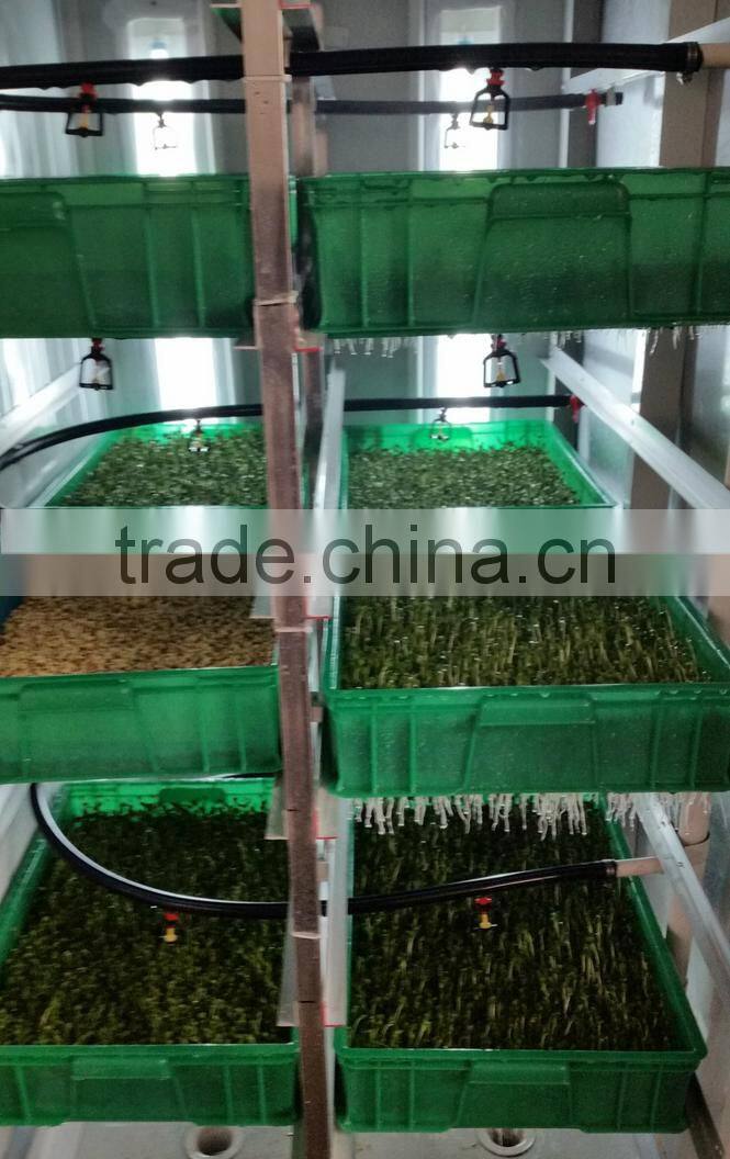 barley bud seedling machine/green grass growing machine/pasture grow machine on sale