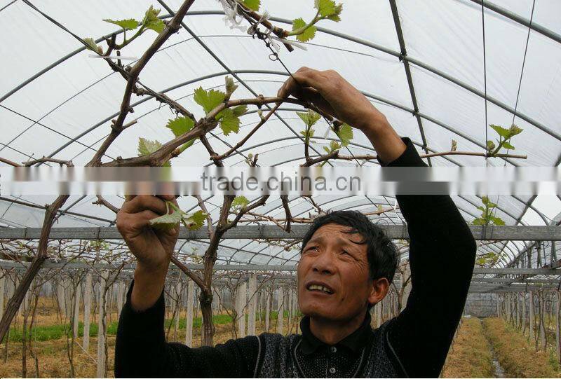 high quanlity greenhouse plastic film Low Tunnel Films Greenhouse Roofing