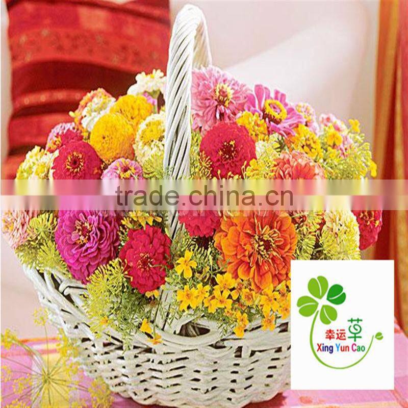 white wicker basket with handle