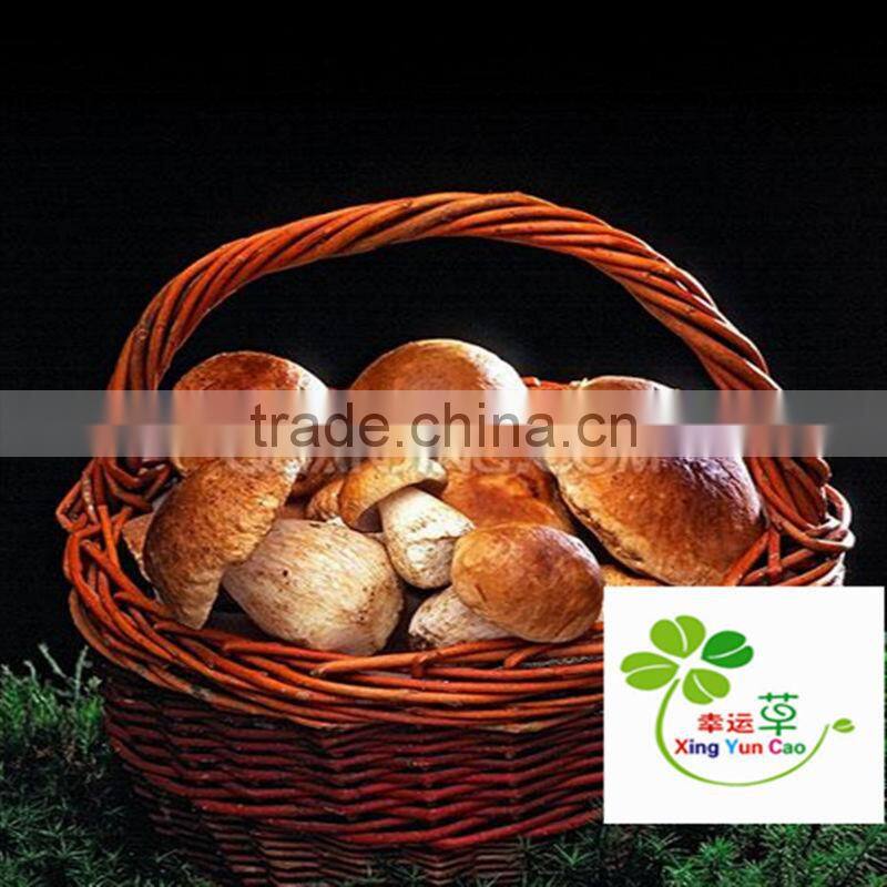 white wicker basket with handle