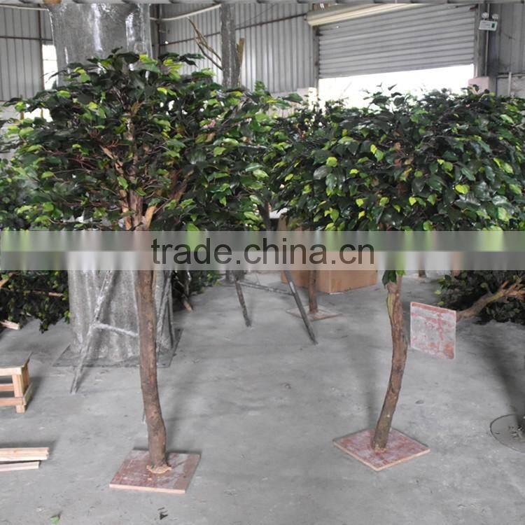 Factory make different types of plants cheap artificial trees banyan tree bonsai