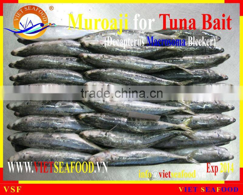 MUROAJI FOR TUNA BAIT