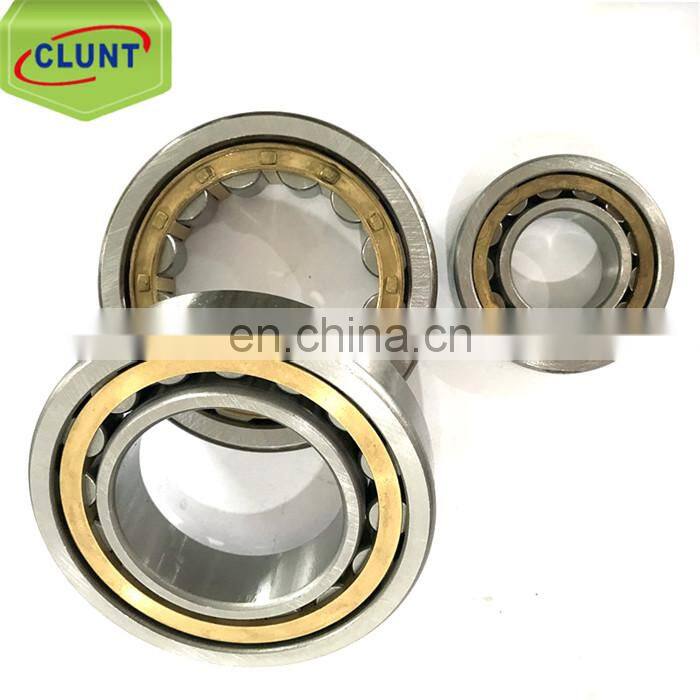 Motorcycle wheel cylinder bearing SL185013 bearing