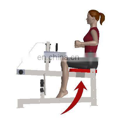 gym machine master fitness machine seated calf raise