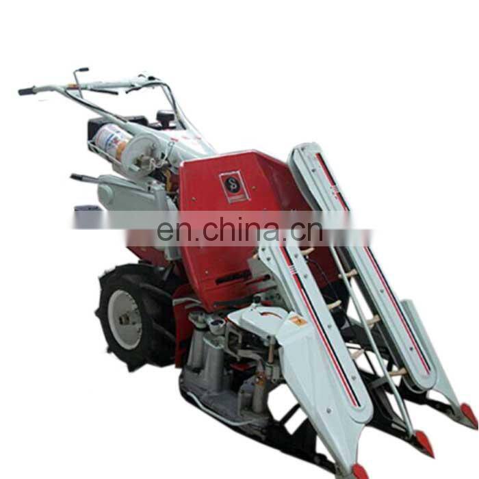 Healthy Automatic green bean sprouting machine for sale