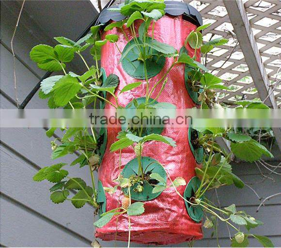 Hanging planter bag for strawberry