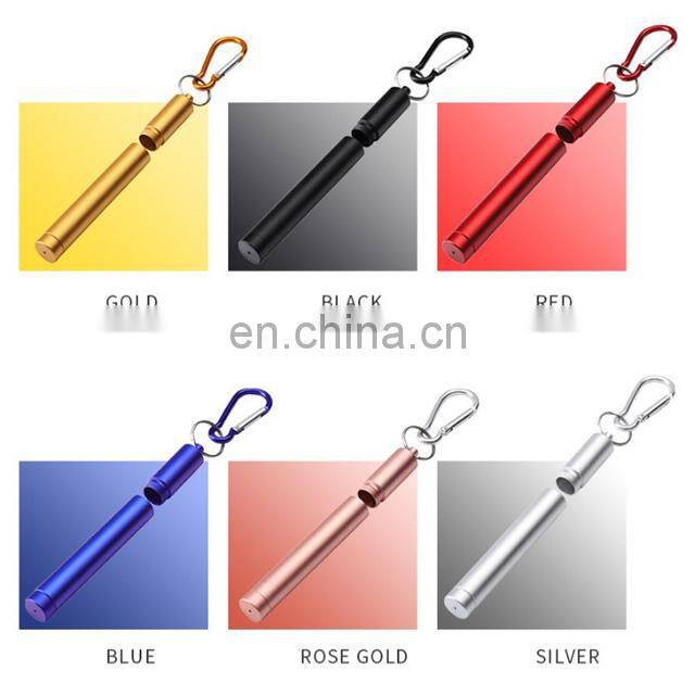 Telescopic Stainless Steel Yerba Mate Straw Spoon with Cleaning Brush