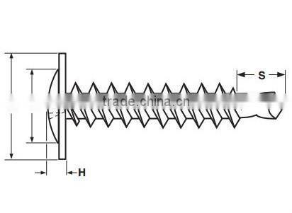 wafer head needle point screw BZP