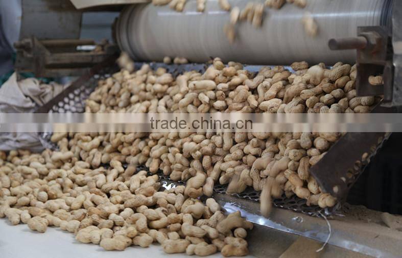 best selling products nutritional value of peanut wholesale peanuts price