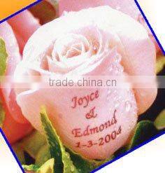 fashionable digital nail printer /nail art printer for nail salons