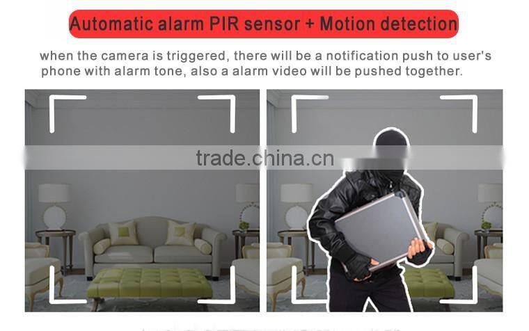 Hot Sale Mini CCTV HDD Digital IP Camera ip66 camera