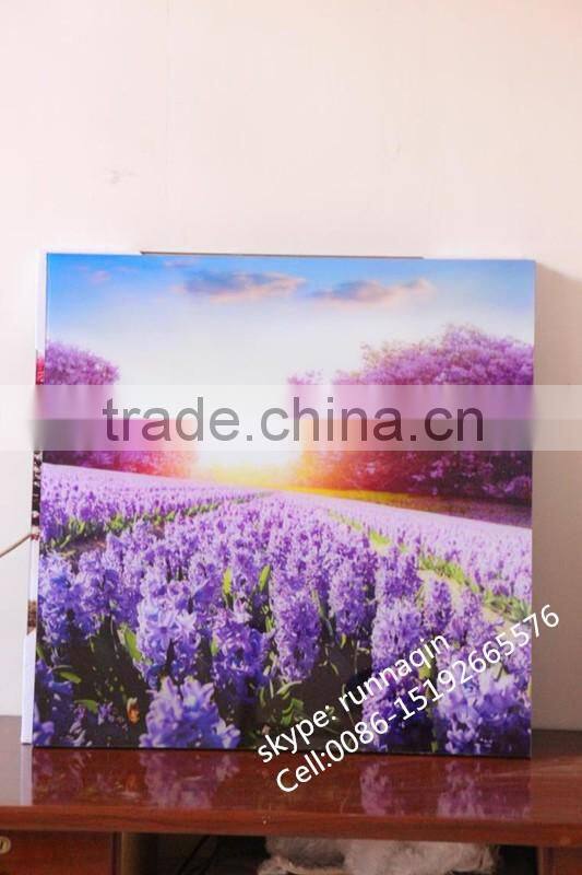 Home wall decorative collage glass hanging frameless picture frame