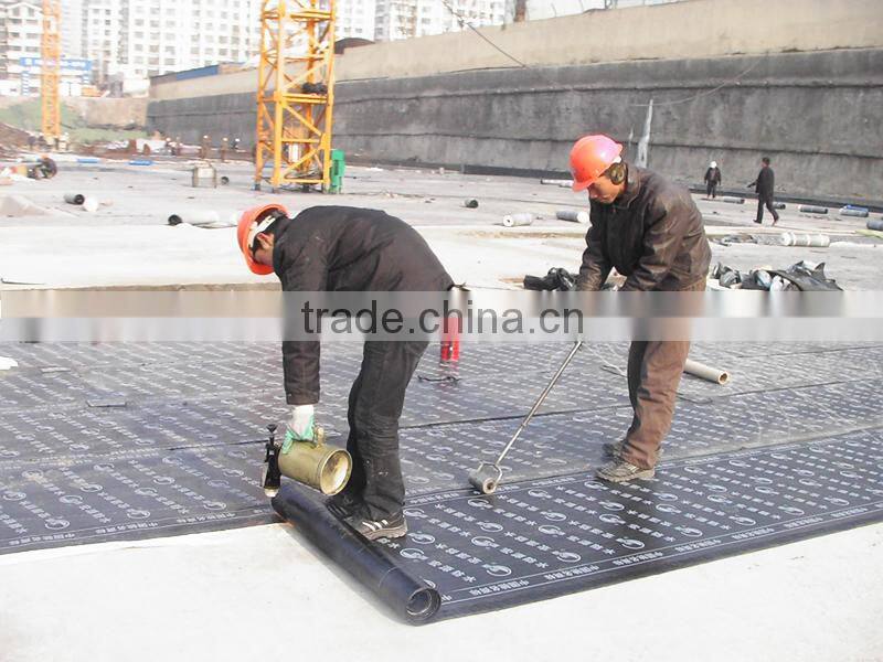 China manufacturer Torched SBS Modified Elastomeric Waterproofing Bitumen Membrane