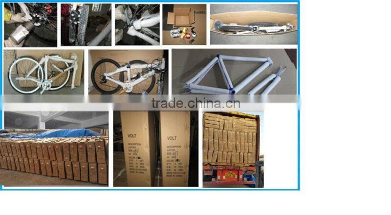 Hot !!! beach bike bicycle double ride