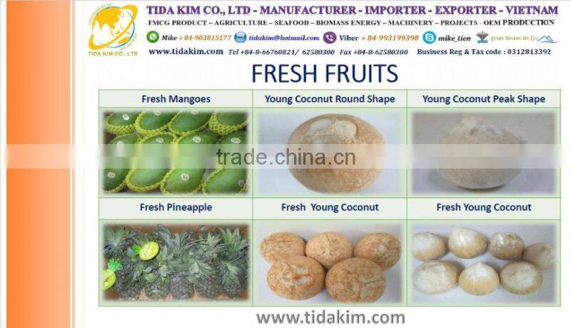 CLINKER VIETNAM TIDA KIM EXPORT- CASHEW NUTS TIDA KIM W210 W240 W320 W450 - ORGANIC COCONUT WATER DESICCATED FLAKE