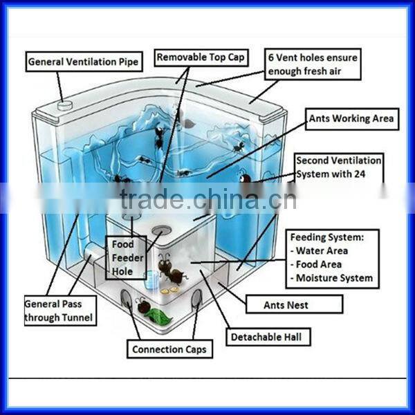 High quality Wholesale Magic Toy Ant Farm for children Education of Ant Worker