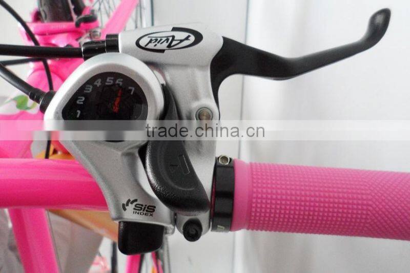 electric Hybrid Bike with CE and EN15194