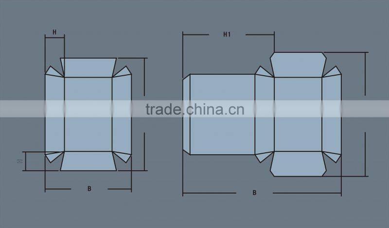 Carton Erecting Machine