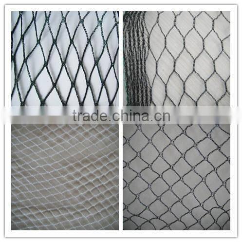 virgin hdpe anti bird net of blue green and white colour for agricultural or fruits trees with uv made in china