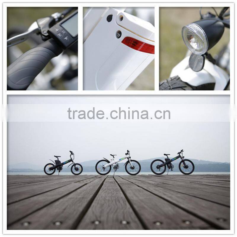 Haoling Seagull - electric bike motor mid drive, electric motor bike