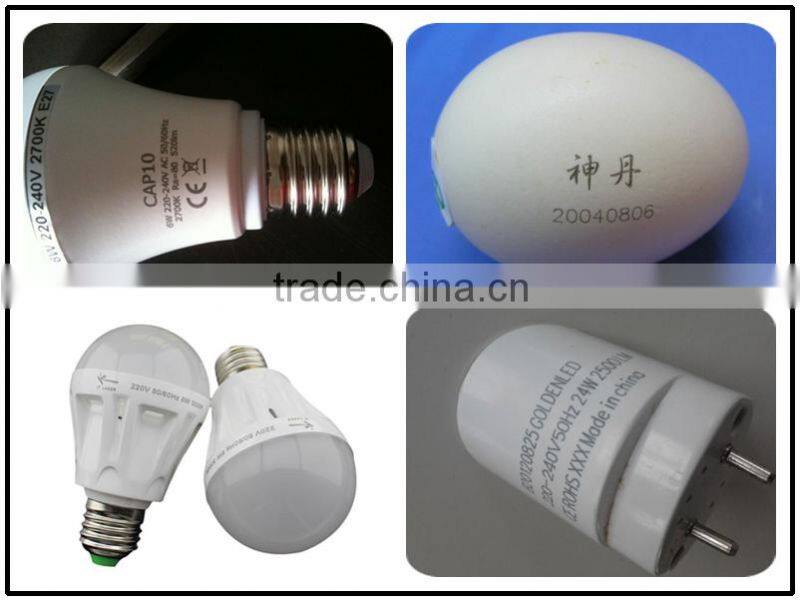 Stainless Steel and plastic laser printing machine for led bulb logo