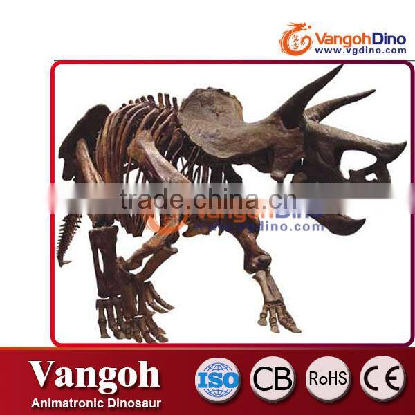 VGQT-40-educational skeleton model