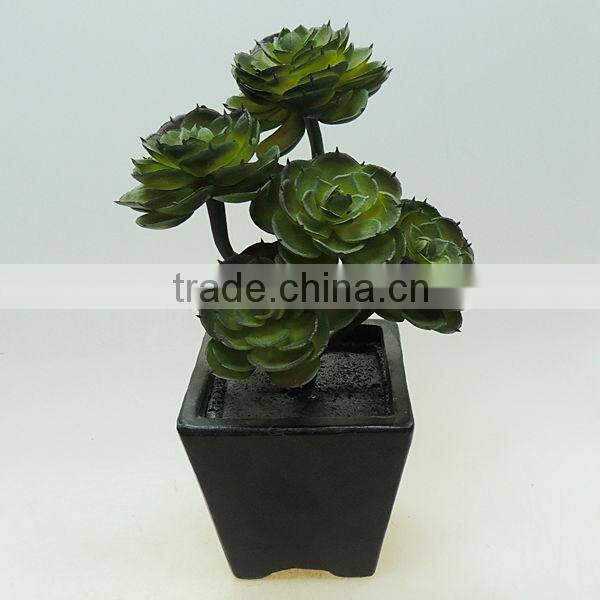 New design garden decorative pot plants