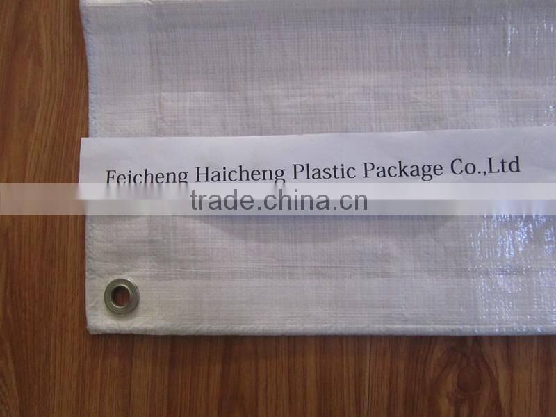 PE Canopy Tarp With UV Resistent Boat Canopies