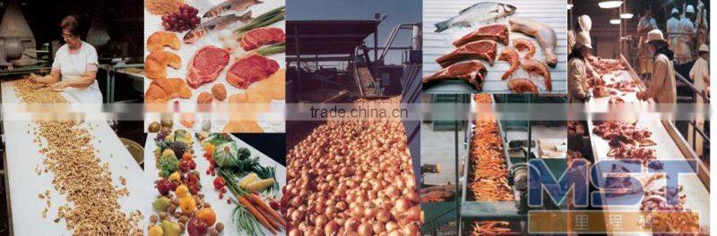 Plastic modular conveyor belt