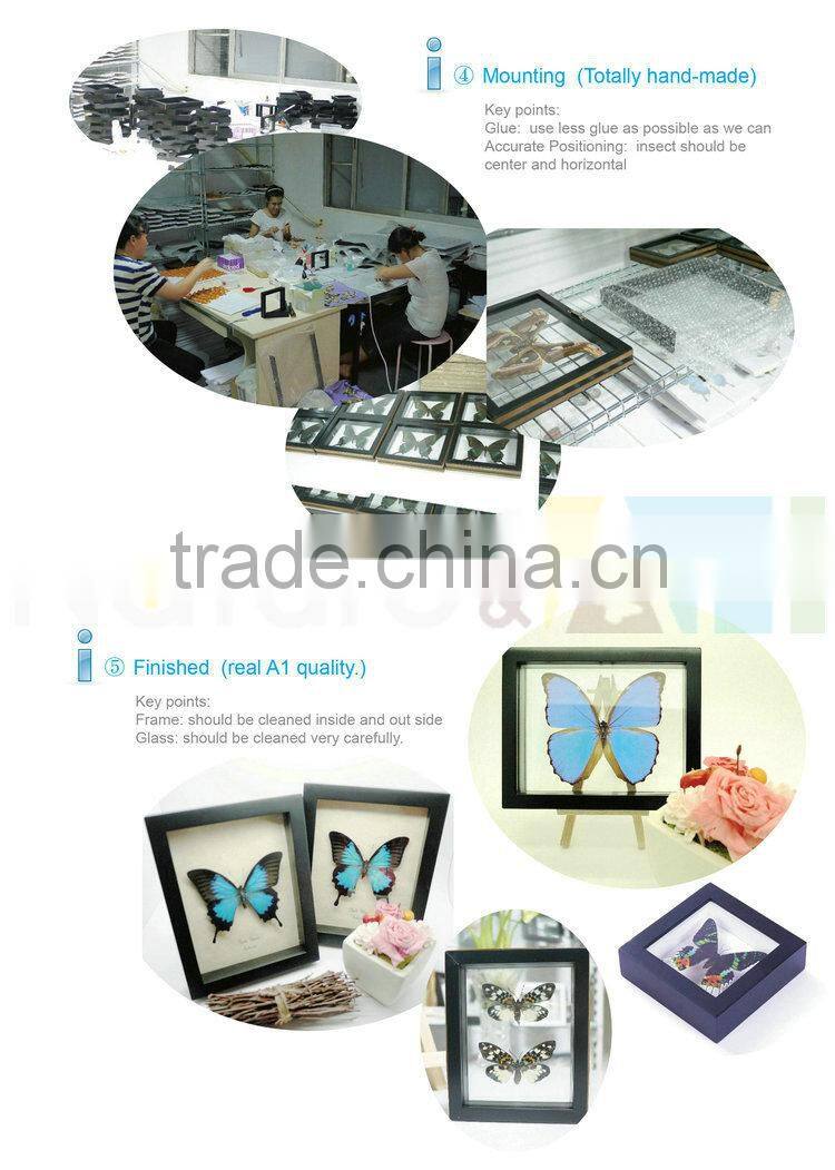 FOUSEN(011) Nature& Art natural real dried butterfly unique table frame