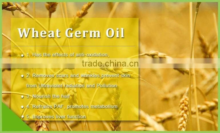 china gmp certified wheat germ oil vitamine e