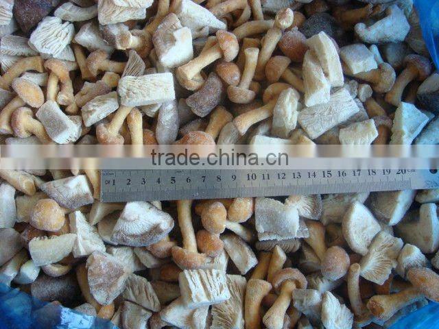 2015 high quality IQF Nameko