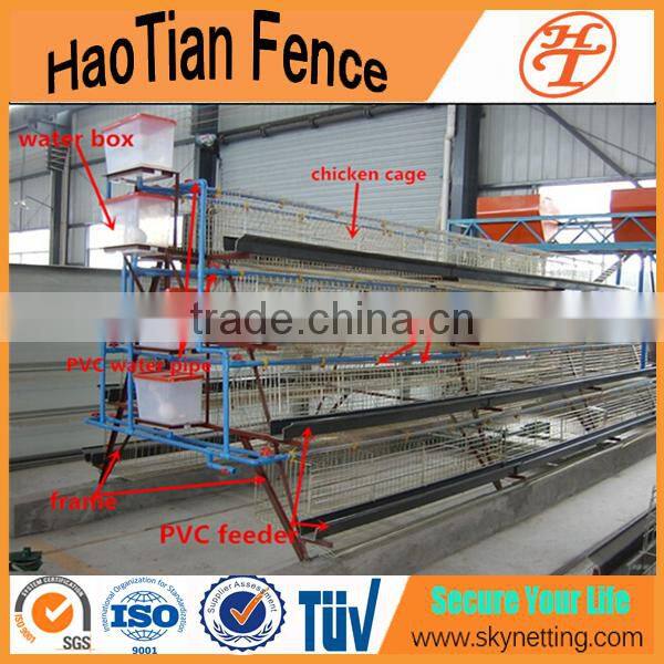 design chicken egg cage for layers for poultry farm bird cage for kenya farms