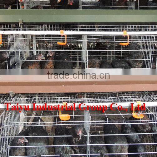 TAIYU Poultry water drinking cups