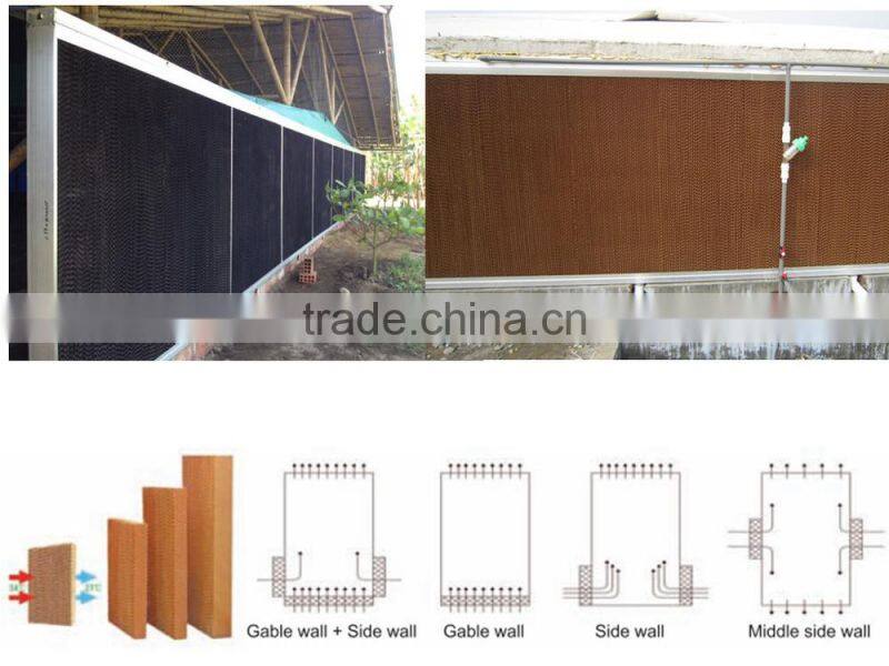 chicken poultry breeding houses