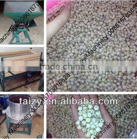 lotus seed machine//008618703616828