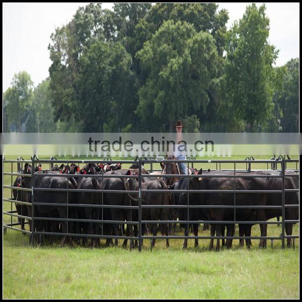 2016 high quality 1.6*2.1m Used Corral Panels , Used Horse Fence Panels , Galvanized livestock metal fence