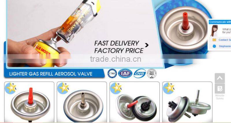 Butane gas spray valves made in China