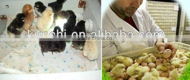 2013 newest and automatic chicken egg incubator with good price
