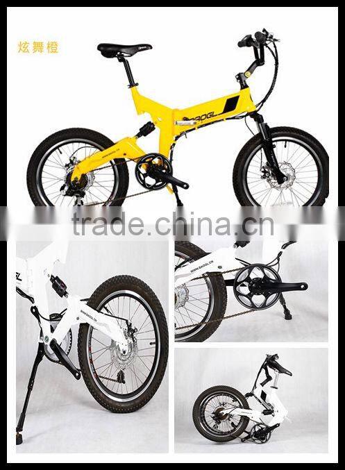 electric bike with LI-ion battary