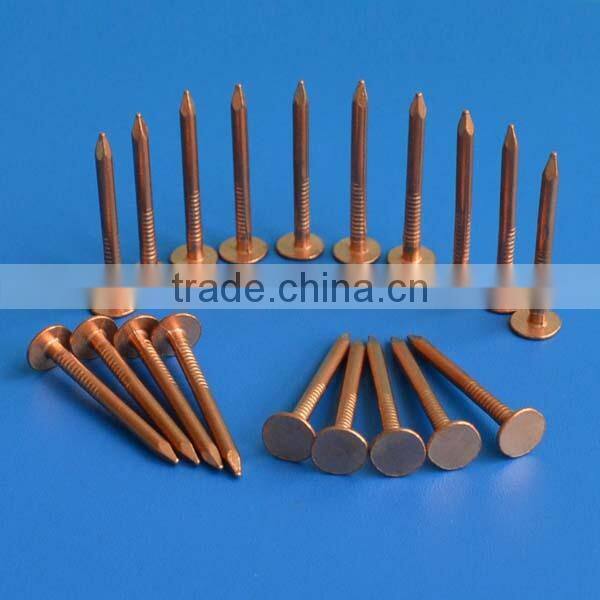 galvanized square boat nails