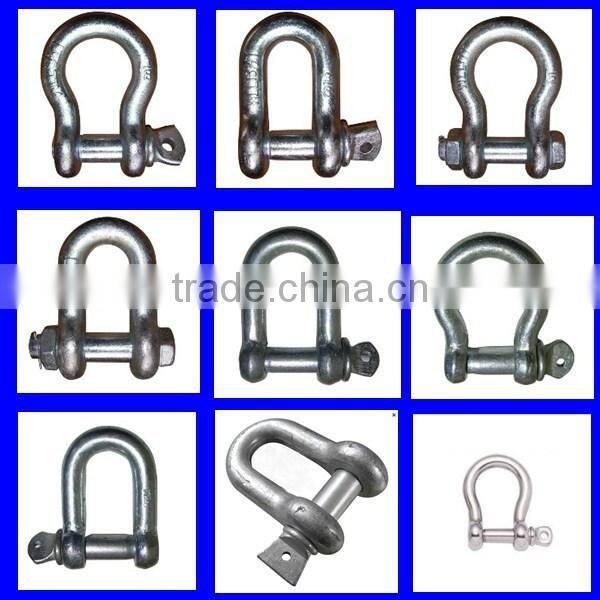 stainless steel d shackle