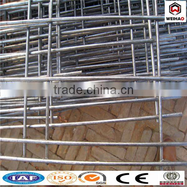 quality and economical galvanzied welded wire mesh