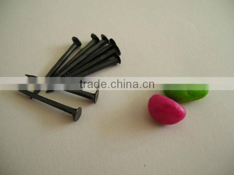 fine blue shoe tack nails